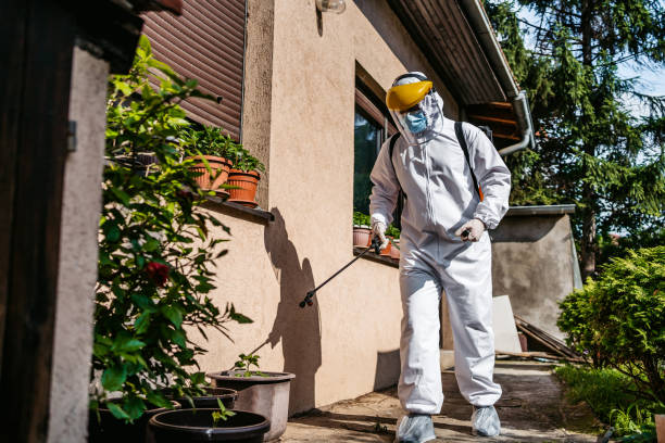 Best Pest Prevention Services  in Bullhead City, AZ